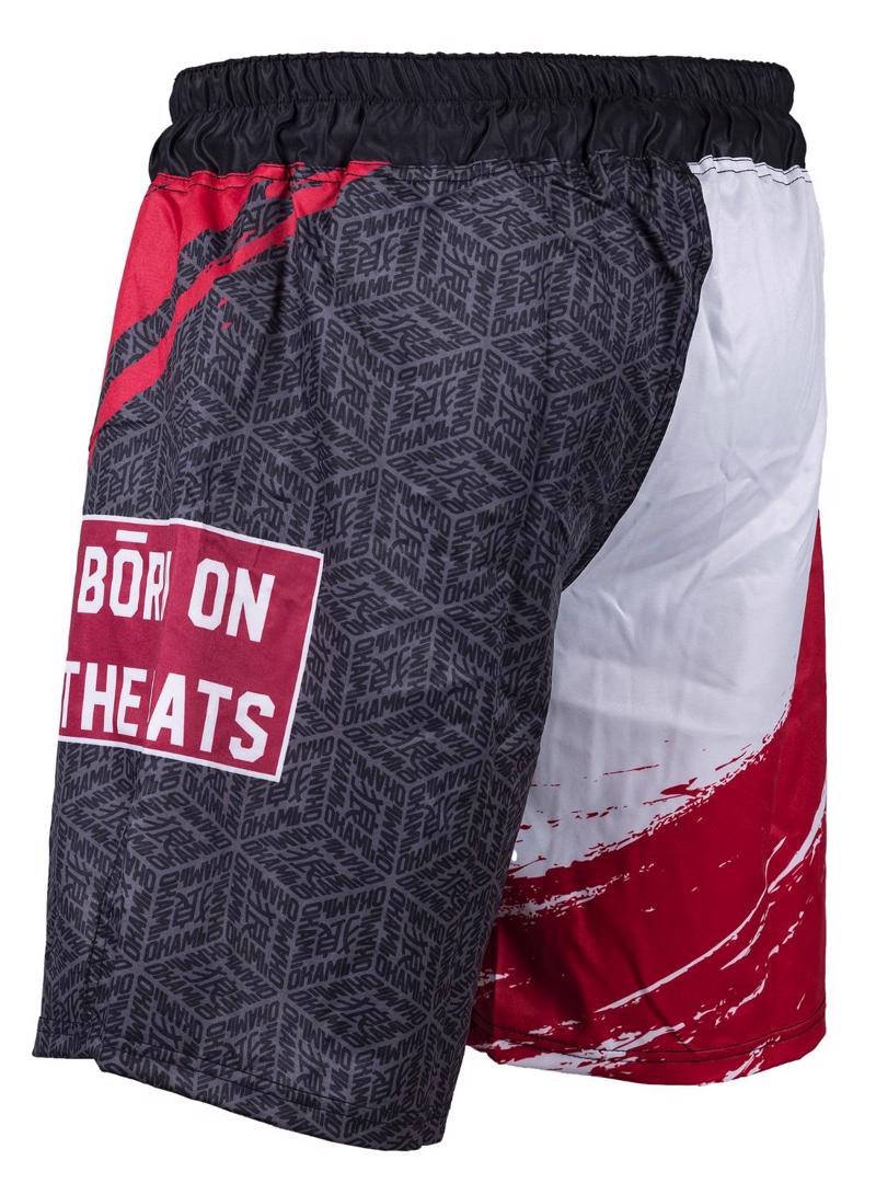 Okami cube Fightshorts -black